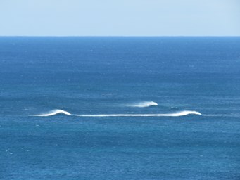 341_the_point_contos_img_8247s.jpg