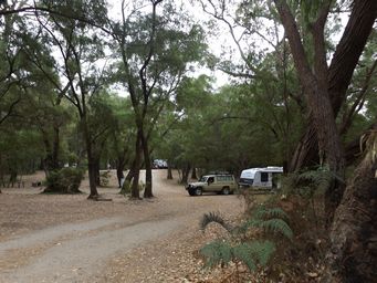 tn_alexandrabridgecampgrounddscf7760.jpg