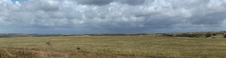 tn_bannerwindturbinesdscf0469.jpg