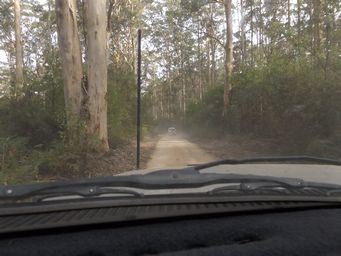 tn_boranup_forest_dscf7551.jpg