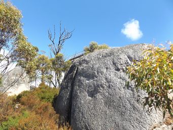 tn_castle_rock_from_karri_dscf3001.jpg