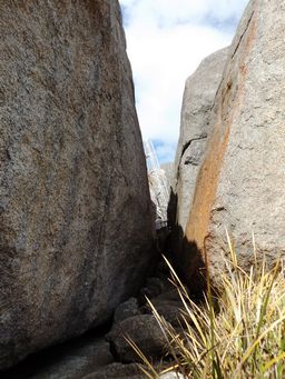 tn_castle_rock_trail_dscf2969.jpg