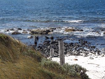 tn_flinders_bay_jetty_dscf7288.jpg