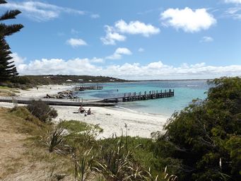 tn_flindersbaydscf7291.jpg