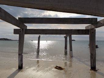 tn_hamelin_bay_jetty_dscf7565.jpg