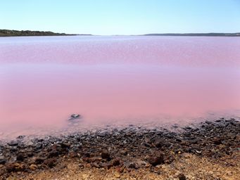 tn_huttlagoondscf0299.jpg