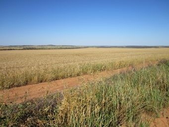 tn_img_3302.jpg