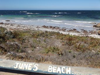 tn_junesbeachdscf7418.jpg