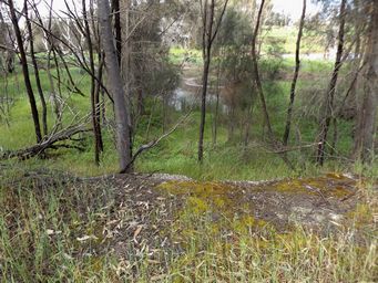 tn_kulyalingoldbridge.jpg