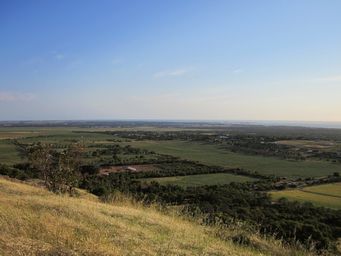 tn_lookout1.jpg