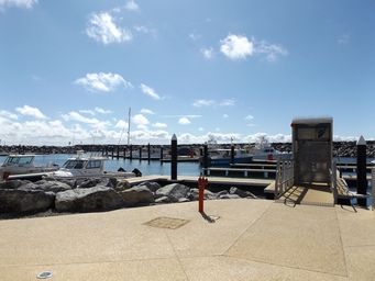 tn_marinadscf7202.jpg