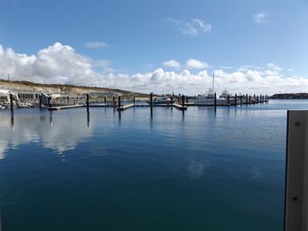 tn_marinadscf7210.jpg