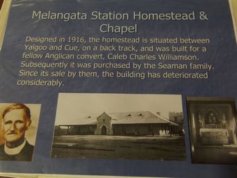 tn_melangatadscf0418.jpg