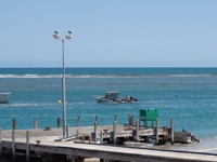 tn_ptgregorydscf0293.jpg