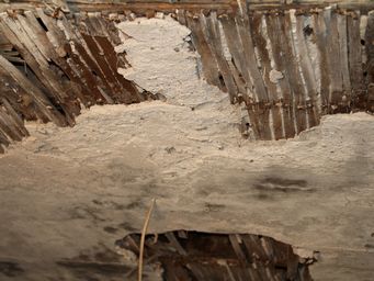 tn_sandforddaubimg_1846.jpg