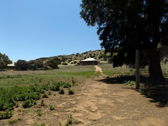 tn_sandfordhousedscf0235.jpg