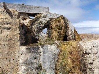 tn_waterwheeldscf7252.jpg
