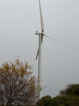 tn_windturbinedscf0492.jpg