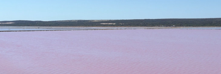 travasmtc2014b008001.jpg