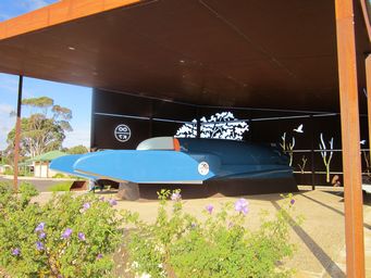 341_bluebird_dumbleyung_img_4834.jpg