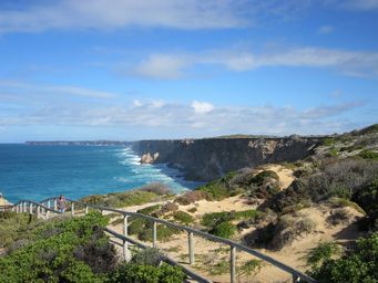 341_cliffs_head_of_bight_img_4901.jpg