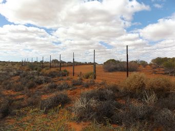 341_dog_fence_dscf3838.jpg