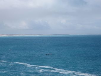 341_dunes_head_of_bight_img_4892.jpg