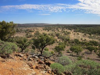 341_gorge_lookout_img_5119.jpg
