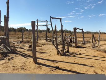 341_horton_park_shearing_shed_and_yards_dscf3953.jpg