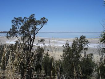 341_lake_dumbleyung_2009_dsc09158s.jpg