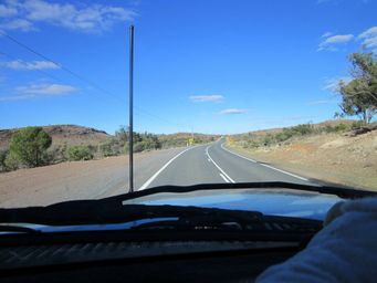 341_nsw_img_4963.jpg