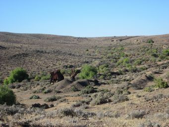 341_old_mine_silverton_img_4982.jpg