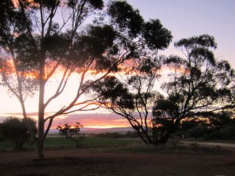 341_orroroo_ra_img_4948c.jpg