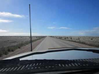 341_treeless_plain_img_4871.jpg