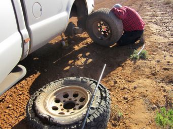 341_tyre_img_5099.jpg