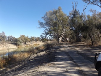 341xalongside_pamamaroo_creek_dscf3433.jpg