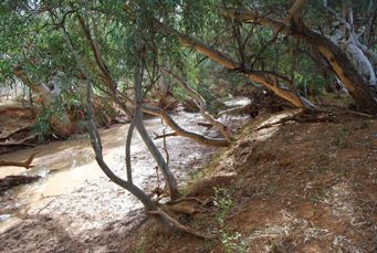 341xdepot_glen_waterhole.jpg