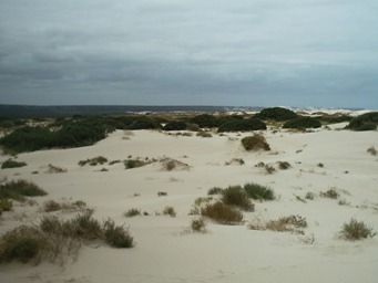 341xdunes_eucla_to_bunda_cliffs_c.jpg