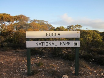 341xeucla_national_park_img_4866.jpg