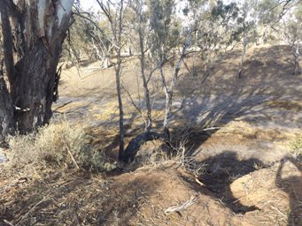 341xhomestead_billabong_dscf3510.jpg