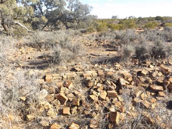 341xkinchega_homestead_remains_dscf3516.jpg