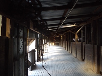 341xkinchega_woolshed_dscf3533.jpg