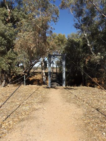 455xsuspension_bridge_to_mt_wood_shearing_sheddscf3906.jpg