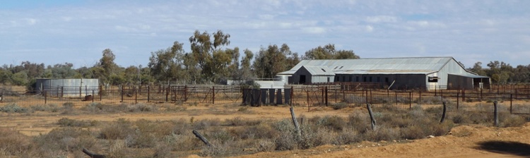 750xbanner_mount_wood_shearing_shed_dscf3909c.jpg