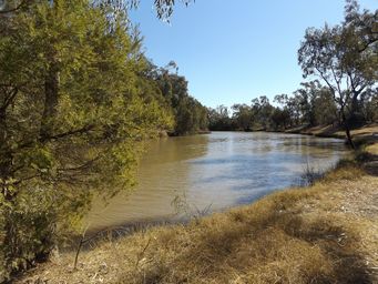 341_barwon_river_at_mungindi_dscf4235.jpg