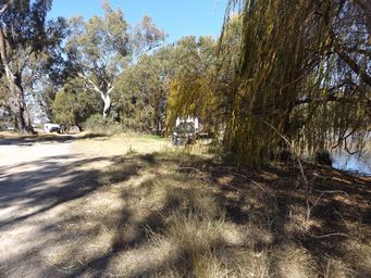 341_barwon_river_at_mungindi_dscf4236.jpg
