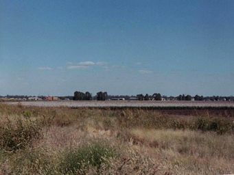 341_cotton_fields_narrabri_2.jpg