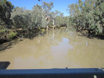 341_moonie_river_bridge_thallon_img_5230.jpg
