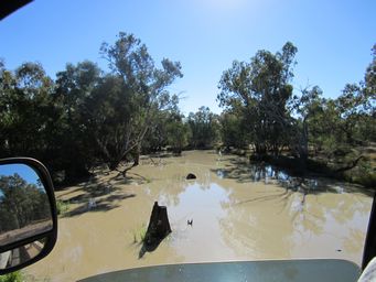 341_moonie_river_bridge_thallon_img_5231.jpg