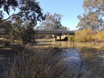 341_mungindi_bridge_dscf4220.jpg